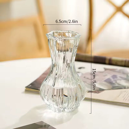 Glass Transparent Flower Vase