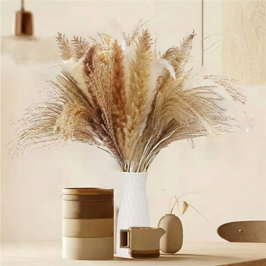 Velura Classic Pampas